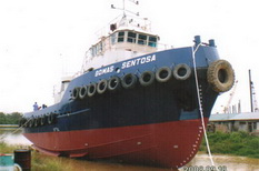 7 units of 29.5 m 2800HP Tug Boat